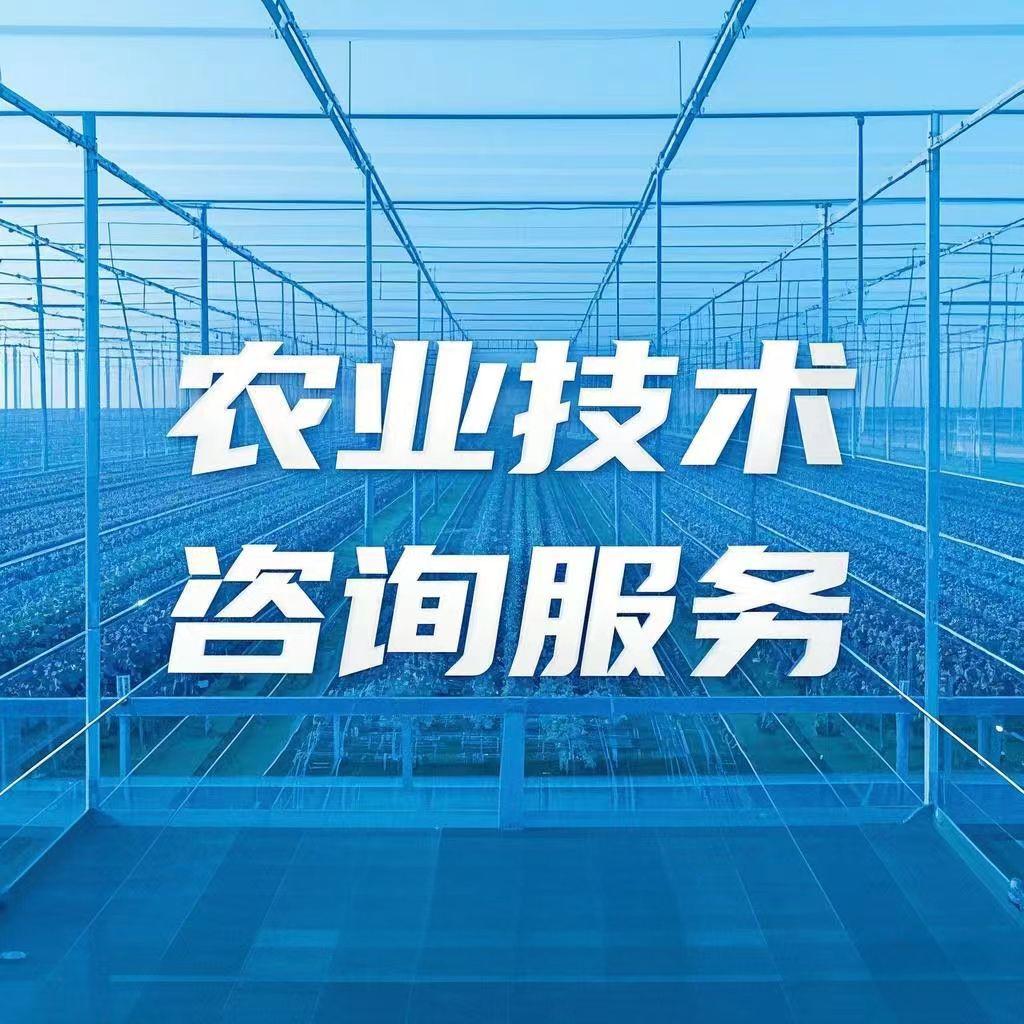 农业技术咨询服务